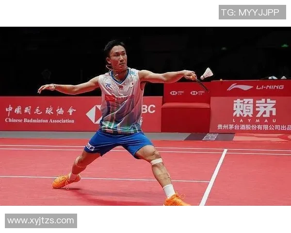 杭州羽毛球队在锦标赛中的默契配合与战术分析