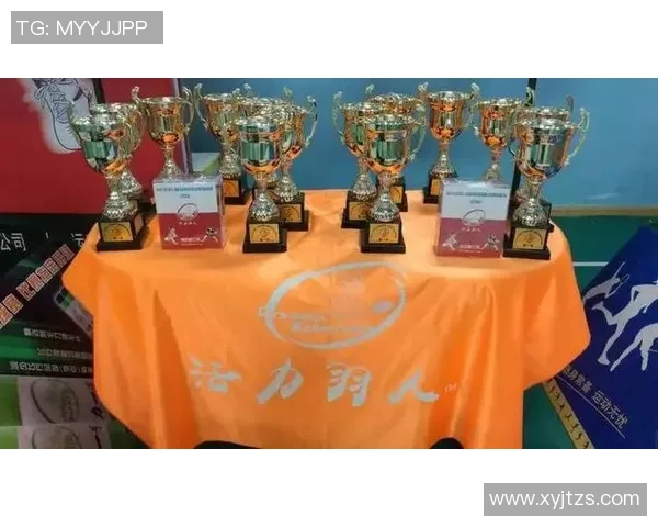 武汉羽毛球队在挑战赛中的灵活性表现分析与点评